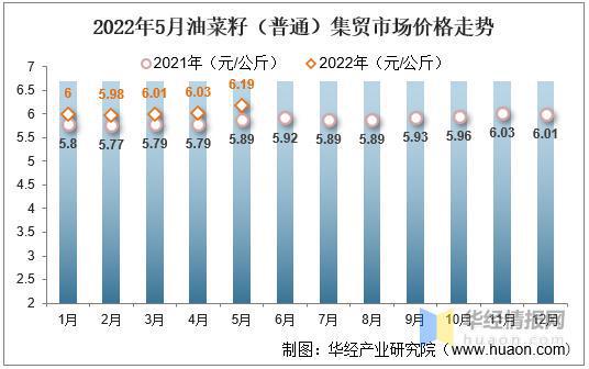 国内油菜籽价格最新动态揭秘🌱🌾