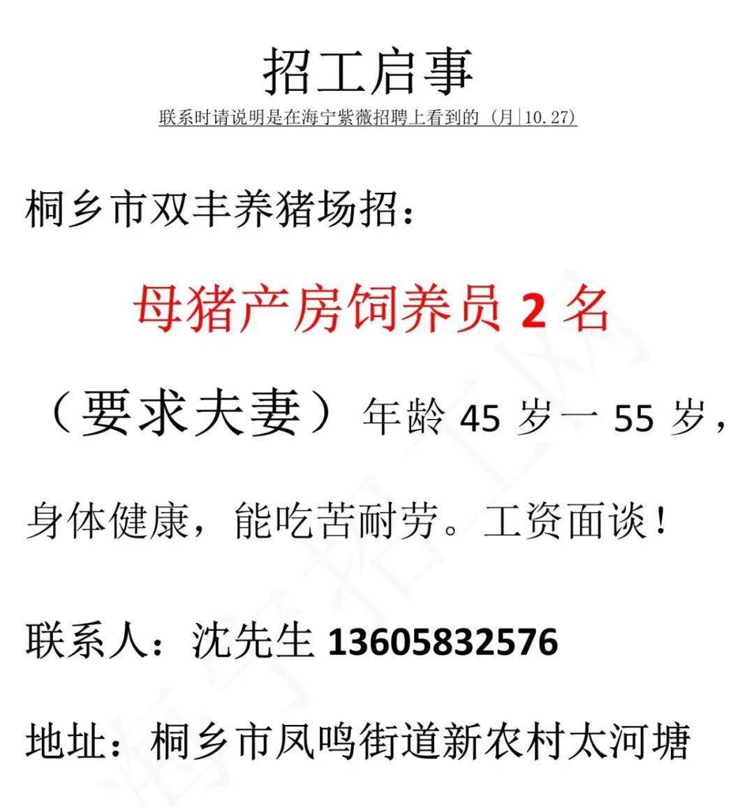 装饰材料 第47页