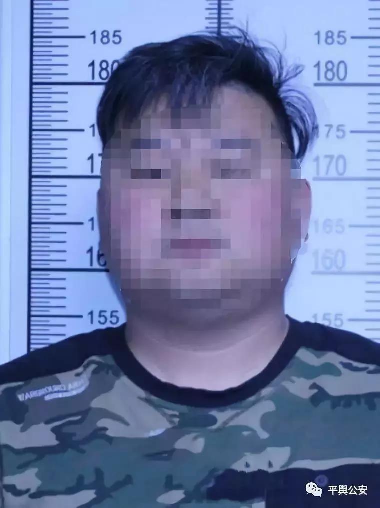 河南平舆在线最新招聘，科技引领未来，智能招聘新纪元开启