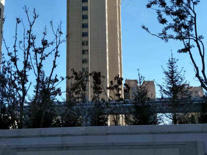 恒大学庭最新动态，友情与家的温馨日常