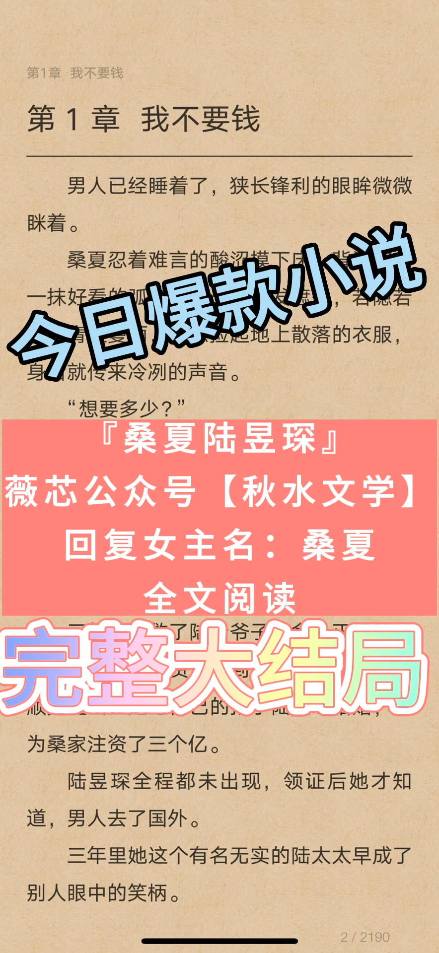 夏程晨最新章节探秘与解读