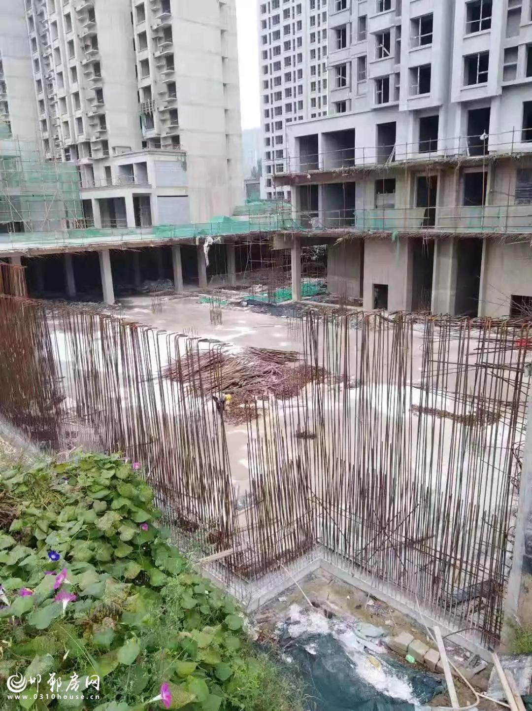 龙仕公园最新新闻，友情与欢乐的温馨日常报道