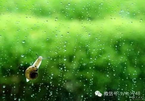 莫念施暮最新章节，小巷特色小店的独特魅力与隐秘美味探索