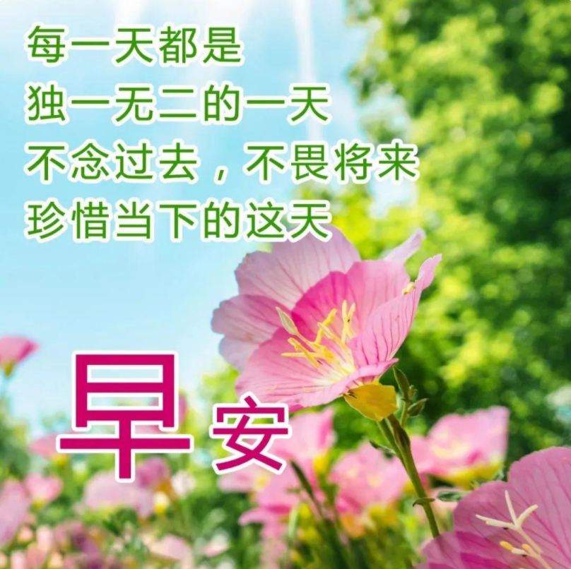 重生之首长早上好最新消息